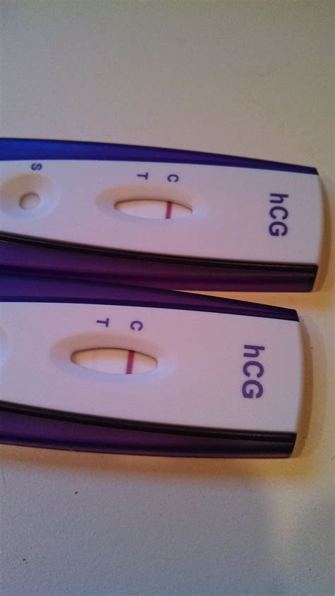 thick purple evaps walmart tests|Walmart 88 cent pregnancy test .